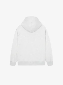 ESSENTIAL BASIC SMALL LOGO OVER FIT RAGLAN HOODIE