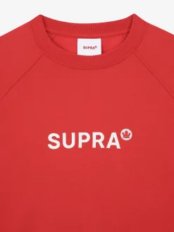 ESSENTIAL BASIC SMALL LOGO RAGLAN OVER FIT SWEATSHIRT